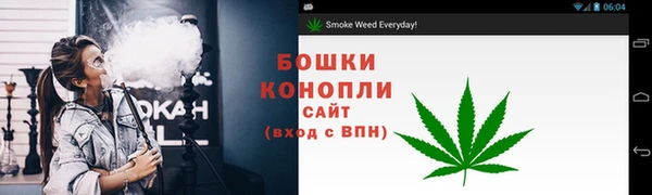 ГАЛЛЮЦИНОГЕННЫЕ ГРИБЫ Алзамай