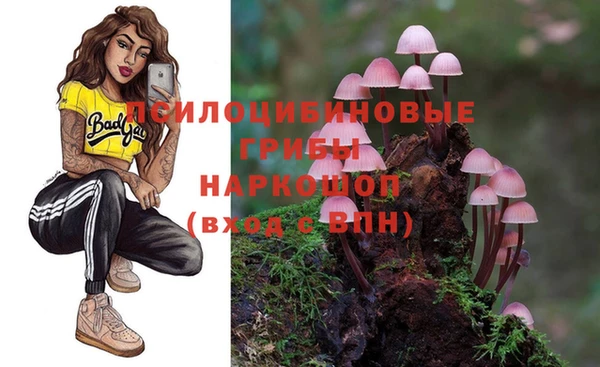 гидра Алексеевка