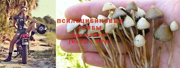 гидра Алексеевка