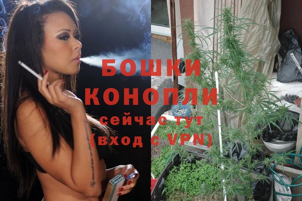 ГАЛЛЮЦИНОГЕННЫЕ ГРИБЫ Пролетарск