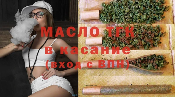 гидра Алексеевка
