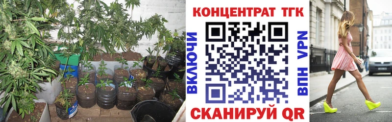 Дистиллят ТГК Wax  сколько стоит  Мышкин 