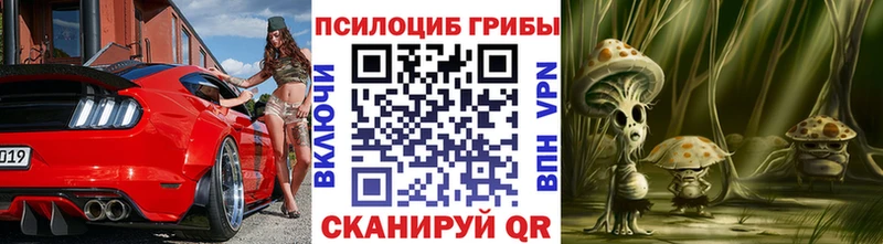 где купить наркотик  blacksprut рабочий сайт  Псилоцибиновые грибы GOLDEN TEACHER  Мышкин 